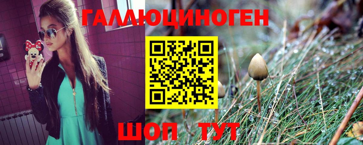 Псилоцибиновые грибы GOLDEN TEACHER  Вход с VPN  Щёлково 